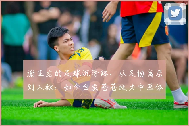 谢亚龙的足球沉浮路，从足协高层到入狱，如今白发苍苍致力中医体育康复