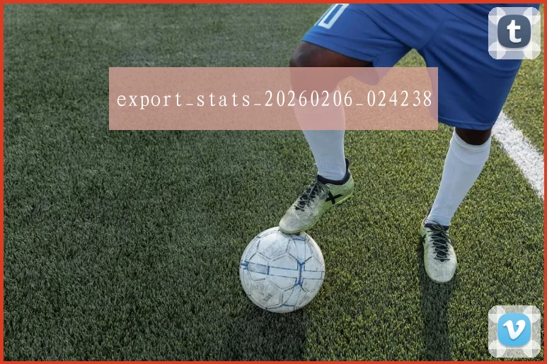 export_stats_20260206_024238