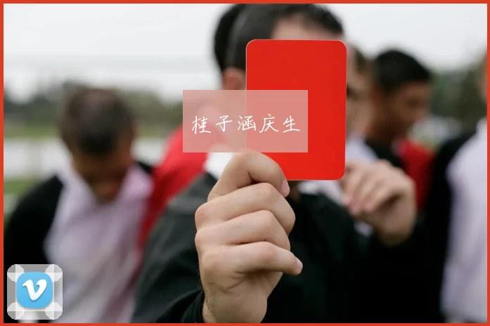 桂子涵庆生